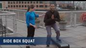 Embedded thumbnail for Side Box Squat Exercise Video