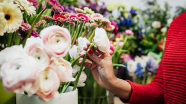 person painting flowers
