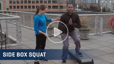 Side Box Squat Exercise Video