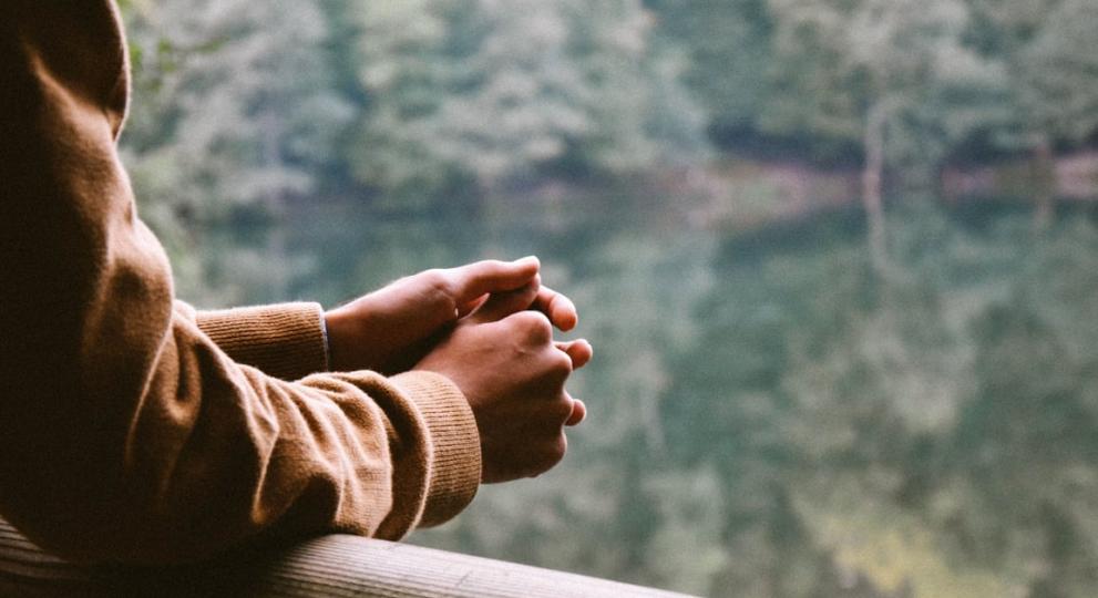 person leaning on banister staring at nature