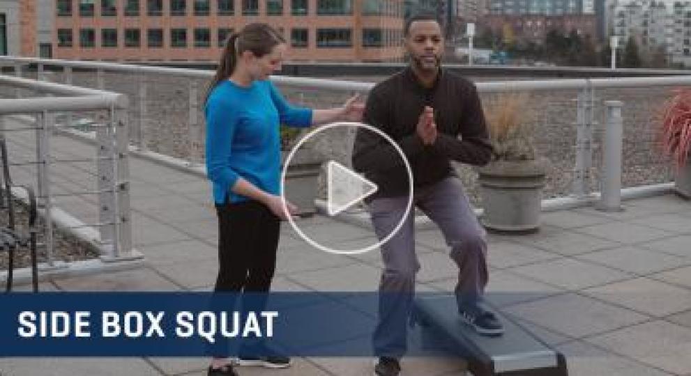 Side Box Squat Exercise Video