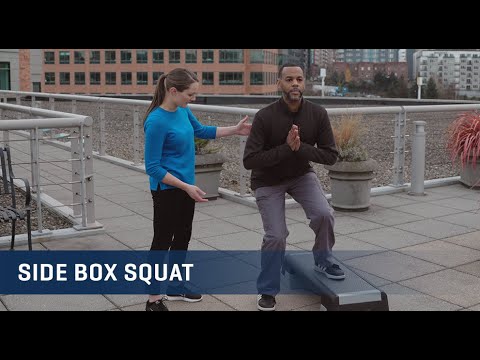 Embedded thumbnail for Side Box Squat Exercise Video